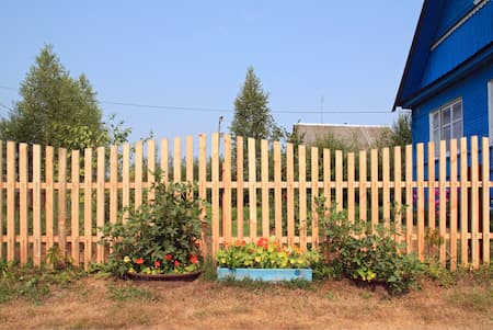 Fence Cleaning